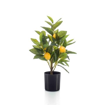 Konstgjord citronträd UALANI, konstgjord stam, frukter, 40cm