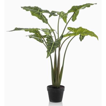 Konstväxt Alocasia Sanderiana MUNAY i dekorativ kruka, grön, 120cm Konstväxt Alocasia Sanderiana MUNAY i dekorativ kruka, grön, 120cm