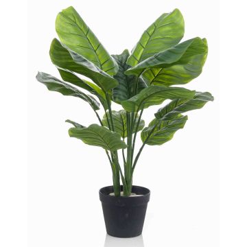 Konstgjord växt Calathea Orbifolia CAPHOR, grågrön, 70cm