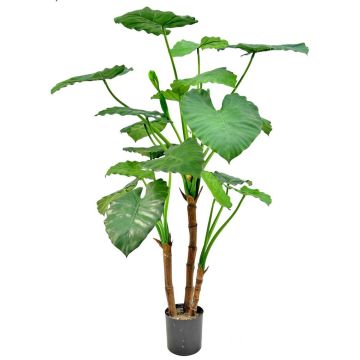Konstväxt Alocasia calidora NOKJAN, grön, 120cm Konstväxt Alocasia calidora NOKJAN, grön, 120cm