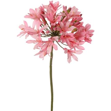 Konstgjord agapanthusblomma KAFENA, ljusrosa, 90cm, Ø20cm Konstgjord agapanthusblomma KAFENA, ljusrosa, 90cm, Ø20cm