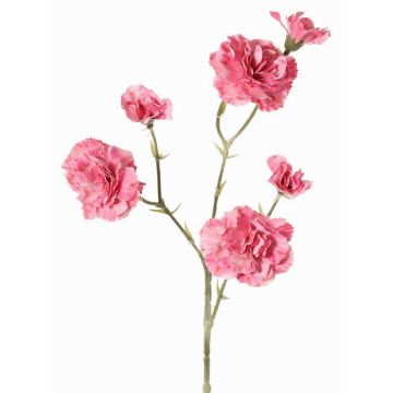 Konstgjord nejlikagren STURYN, rosa, 55cm, Ø2,5-6cm Konstgjord nejlikagren STURYN, rosa, 55cm, Ø2,5-6cm