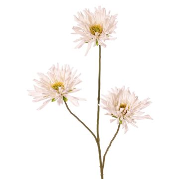 Konstgjord kvist med krysantemum LASDIM, vit, 75cm, Ø11cm
