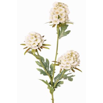 Konstgjord gren av skäggnejlika STERMYN, krämfärgad, 75cm, Ø6,5-8,5cm Konstgjord gren av skäggnejlika STERMYN, krämfärgad, 75cm, Ø6,5-8,5cm
