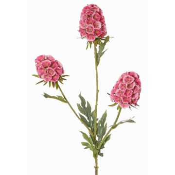 Konstgjord gren av skäggnejlika STERMYN, mauve, 75cm, Ø6,5-8,5cm Konstgjord gren av skäggnejlika STERMYN, mauve, 75cm, Ø6,5-8,5cm