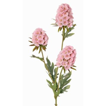 Konstgjord gren av skäggnejlika STERMYN, rosa, 75cm, Ø6,5-8,5cm Konstgjord gren av skäggnejlika STERMYN, rosa, 75cm, Ø6,5-8,5cm