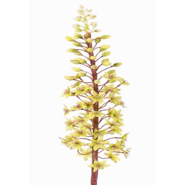 Konstgjord blomma, krönlilja ZERFIM, grön, 90cm Konstgjord blomma, krönlilja ZERFIM, grön, 90cm