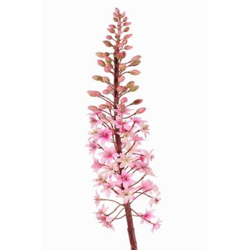Konstgjord blomma, krönlilja ZERFIM, rosa-grön, 90cm Konstgjord blomma, krönlilja ZERFIM, rosa-grön, 90cm