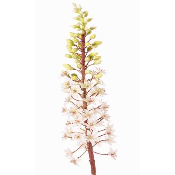 Konstgjord blomma, krönlilja ZERFIM, vit-grön, 90cm Konstgjord blomma, krönlilja ZERFIM, vit-grön, 90cm