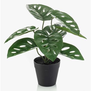 Konstväxt Philodendron monstera adansonii PRUMEX, dekorativ kruka, 28cm Konstväxt Philodendron monstera adansonii PRUMEX, dekorativ kruka, 28cm