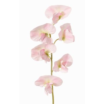 Konstgjord blomma Lathyrus WAHNY, ljusrosa-grön-vit, 45cm, Ø5,5cm Konstgjord blomma Lathyrus WAHNY, ljusrosa-grön-vit, 45cm, Ø5,5cm