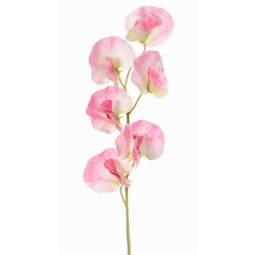 Konstgjord blomma Lathyrus WAHNY, rosa-vit-grön, 45cm, Ø5,5cm Konstgjord blomma Lathyrus WAHNY, rosa-vit-grön, 45cm, Ø5,5cm