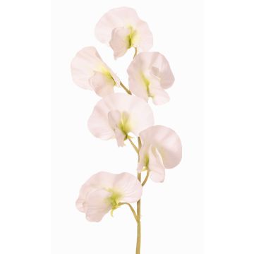 Konstgjord blomma Lathyrus WAHNY, vit-grön, 45cm, Ø5,5cm Konstgjord blomma Lathyrus WAHNY, vit-grön, 45cm, Ø5,5cm