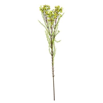 Konstgjord kvist med vaxblomma MEDEA, grön-cerise, 80cm, Ø6cm Konstgjord kvist med vaxblomma MEDEA, grön-cerise, 80cm, Ø6cm