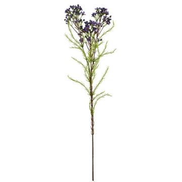 Konstgjord kvist med vaxblomma MEDEA, mörklila, 80cm, Ø6cm Konstgjord kvist med vaxblomma MEDEA, mörklila, 80cm, Ø6cm