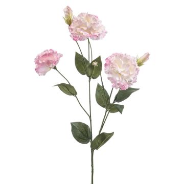 Konstblomma Lisianthus RENARA, rosa-krämfärgad, 75cm