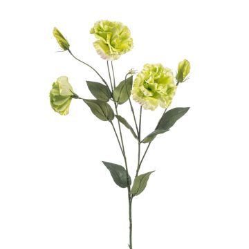 Konstblomma Lisianthus RENARA, ljusgrön, 75cm Konstblomma Lisianthus RENARA, ljusgrön, 75cm