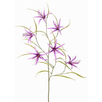 Dekorativ kvist av hymenocallis TYZANS, lila, 95cm
