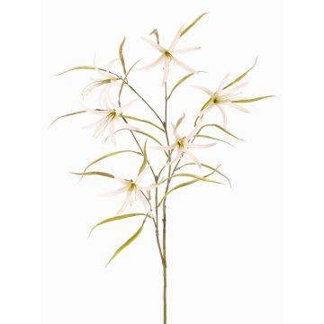 Dekorativ kvist av skönskinn TYZANS, vit-grön, 95cm