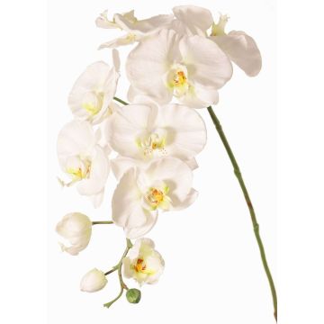 Dekorativ kvist med Phalaenopsis-orkidé WESA, vit, 90cm, Ø11-12,5cm