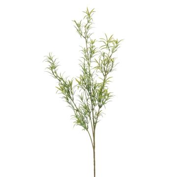 Konstgjord Asparagus sprengeri-gren SAMBENO, grön, 80cm