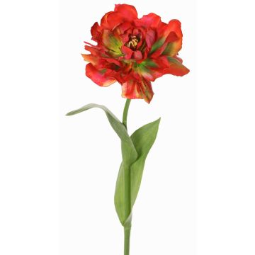Konstgjord papegojatulp STEFANIE, röd-grön, 65cm, Ø14cm Konstgjord papegojatulp STEFANIE, röd-grön, 65cm, Ø14cm