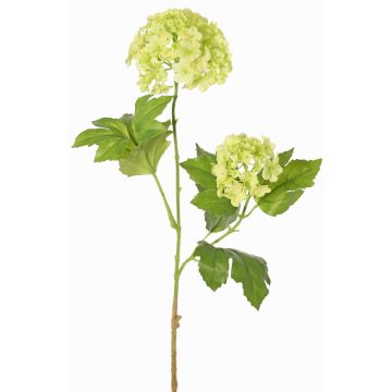 Konstgjord kvist av snöboll FINDALS, ljusgrön, 60cm, Ø6-9cm Konstgjord kvist av snöboll FINDALS, ljusgrön, 60cm, Ø6-9cm