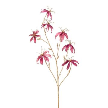 Sammet Gloriosa KAZBEK, antikrosa-guld, 110cm Sammet Gloriosa KAZBEK, antikrosa-guld, 110cm
