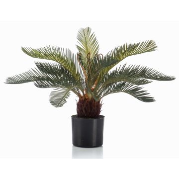 Konstgjord cycas-palm, liten, NEREO, 55cm