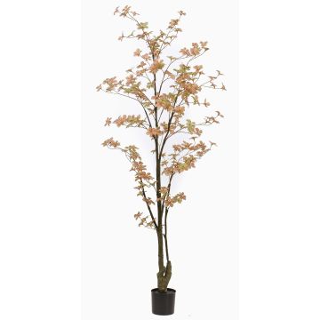Konstträd, nasturtium SULLA, konststam, persikogrön, 185cm Konstträd, nasturtium SULLA, konststam, persikogrön, 185cm