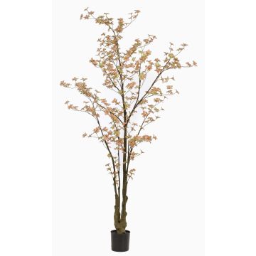 Konstträd, nasturtium SULLA, konststam, persikogrön, 245cm Konstträd, nasturtium SULLA, konststam, persikogrön, 245cm