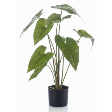 Konstväxt Alocasia Zebrina LEFKA med rötter, grön, 75cm Konstväxt Alocasia Zebrina LEFKA med rötter, grön, 75cm