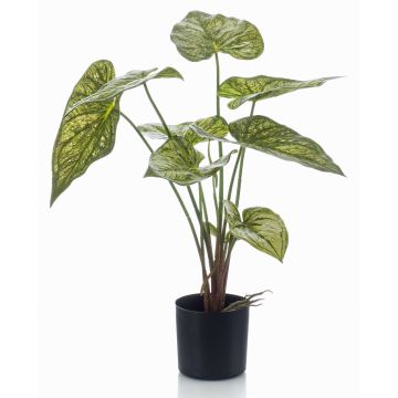 Konstväxt Caladium YAWAR med rötter, grön-gul, 60cm Konstväxt Caladium YAWAR med rötter, grön-gul, 60cm