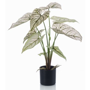 Konstväxt Caladium YAWAR med rötter, grön-vit, 60cm Konstväxt Caladium YAWAR med rötter, grön-vit, 60cm