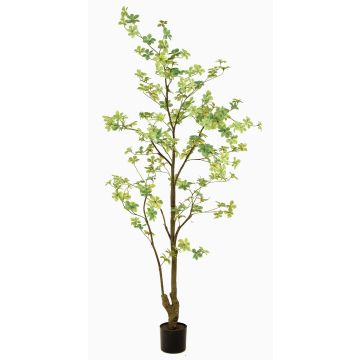 Konstträd nasturtium SULLA, konststam, grön, 185cm Konstträd nasturtium SULLA, konststam, grön, 185cm