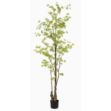 Konstträd nasturtium SULLA, konststam, grön, 210cm Konstträd nasturtium SULLA, konststam, grön, 210cm