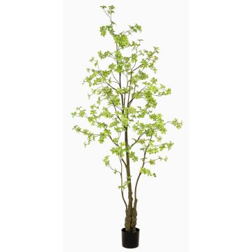Konstträd med nasturtium SULLA, konststam, grön, 245cm Konstträd med nasturtium SULLA, konststam, grön, 245cm