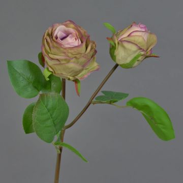 Konstgjord ros RENATUS, violett-rosa-grön, 45cm, Ø6-8cm Konstgjord ros RENATUS, violett-rosa-grön, 45cm, Ø6-8cm
