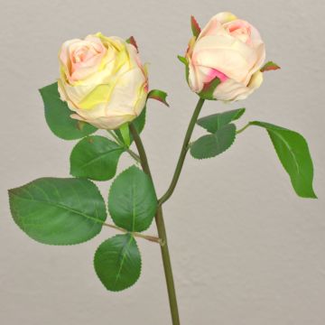 Konstgjord ros RENATUS, krämrosa, 45cm, Ø6-8cm Konstgjord ros RENATUS, krämrosa, 45cm, Ø6-8cm