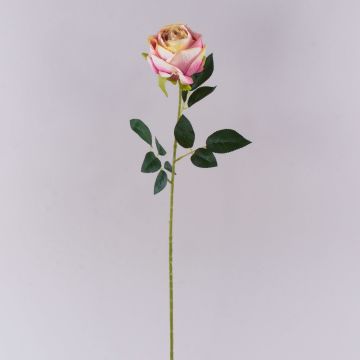 Konstgjord ros CHERLEN, rosa-krämfärgad, 65cm, Ø10cm Konstgjord ros CHERLEN, rosa-krämfärgad, 65cm, Ø10cm