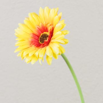 Konstgjord blomma Gerbera TEUDELINDE, gul, 55cm, Ø8cm Konstgjord blomma Gerbera TEUDELINDE, gul, 55cm, Ø8cm
