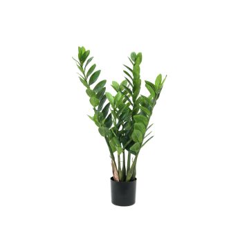 Konstgjord Zamioculcas Zamiifolia AKELA, 70cm Konstgjord Zamioculcas Zamiifolia AKELA, 70cm