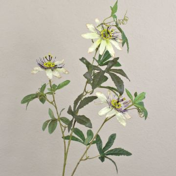 Dekorativ passionsblomma JULANDA, vit-lila, 95cm, Ø11cm Dekorativ passionsblomma JULANDA, vit-lila, 95cm, Ø11cm