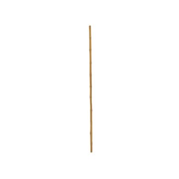Bamburör/bambustång i plast CHIYOKO, 200cm, Ø3cm Bamburör/bambustång i plast CHIYOKO, 200cm, Ø3cm