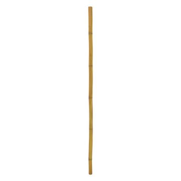 Bambustavla i plast CHIYOKO, 200cm, Ø5cm Bambustavla i plast CHIYOKO, 200cm, Ø5cm