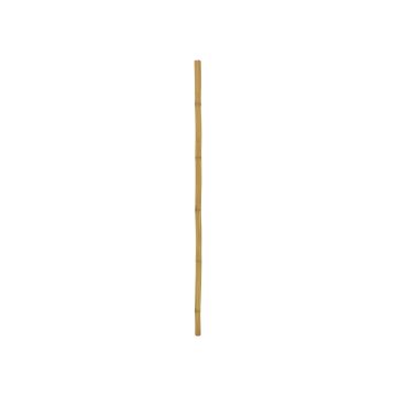 Bambustavla i plast CHIYOKO, 200cm, Ø5cm