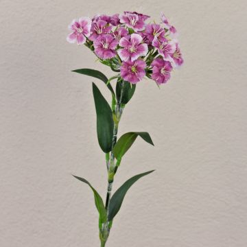 Konstgjord blomma, skäggnejlika SUSILAWA, violett-vit, 55cm Konstgjord blomma, skäggnejlika SUSILAWA, violett-vit, 55cm