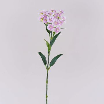 Konstgjord blomma, skäggnejlika SUSILAWA, rosa-violett, 55cm Konstgjord blomma, skäggnejlika SUSILAWA, rosa-violett, 55cm