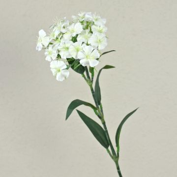 Konstgjord blomma, skäggnejlika SUSILAWA, vit-krämfärgad, 55cm Konstgjord blomma, skäggnejlika SUSILAWA, vit-krämfärgad, 55cm