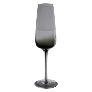 Champagneglas LUCIEL, grå-klar, 23cm, Ø7cm